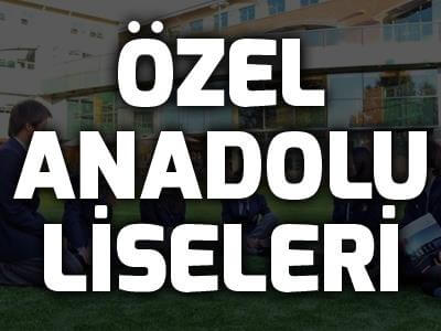 meb danışmanlığı