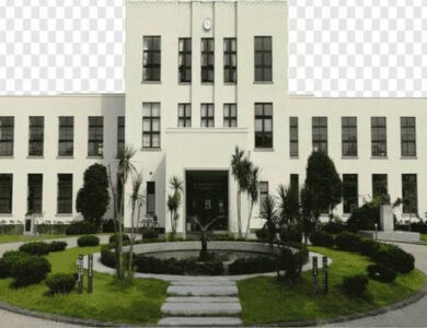 meb danışmanlığı