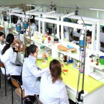 meb danışmanlığı